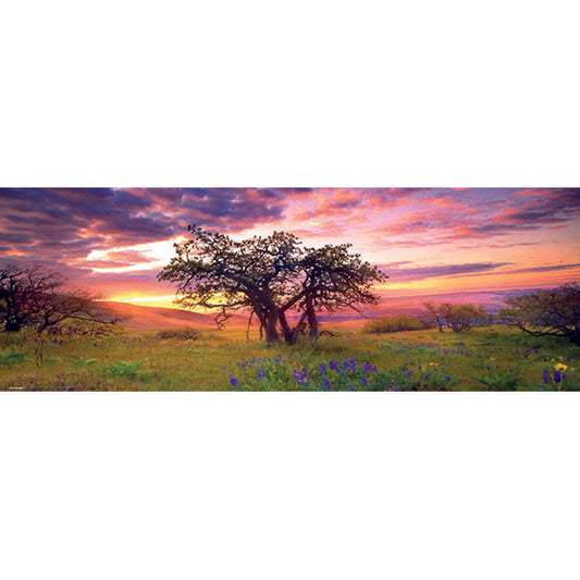 Oak Tree
